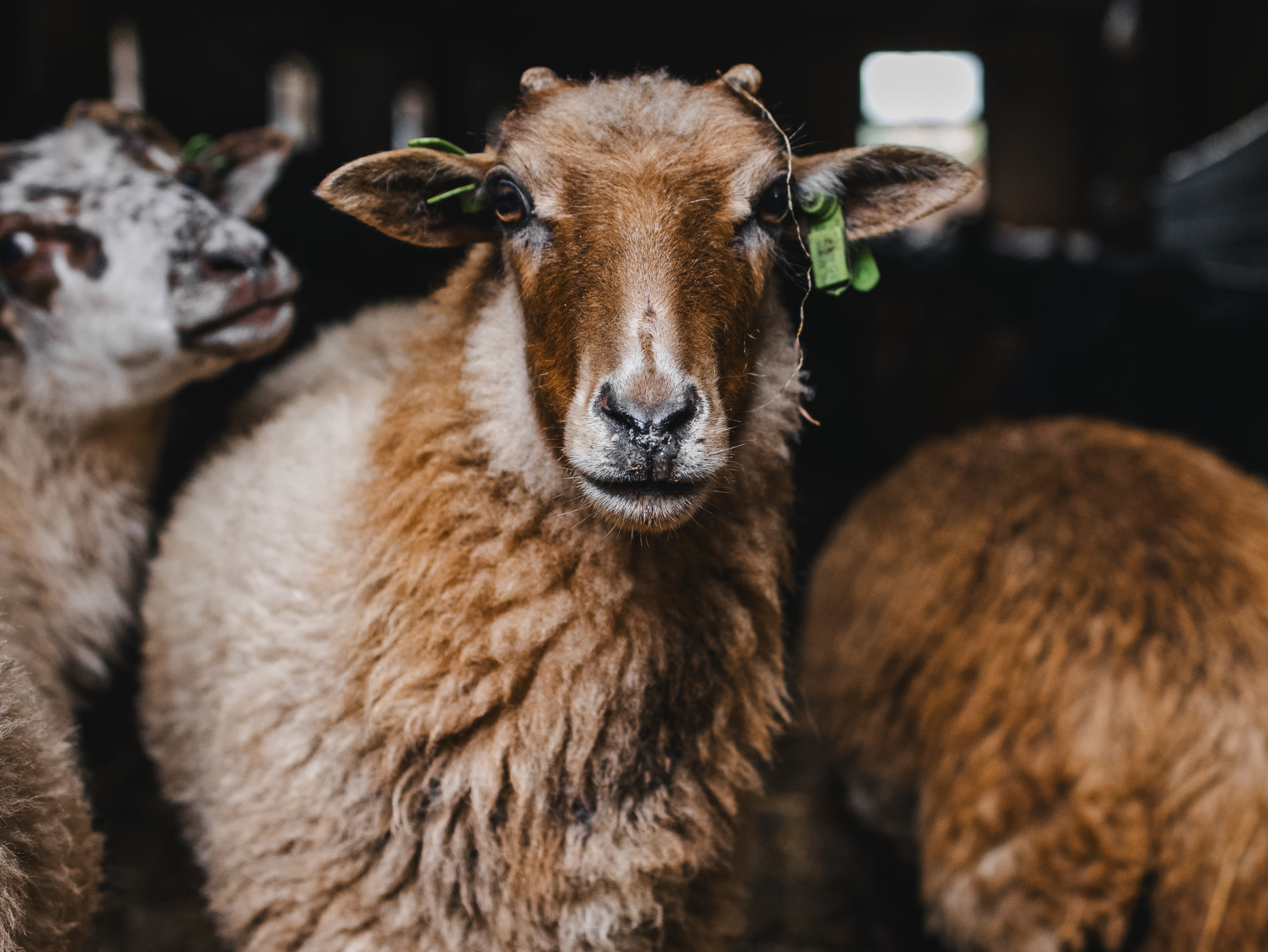 Generieke afbeelding voor image content