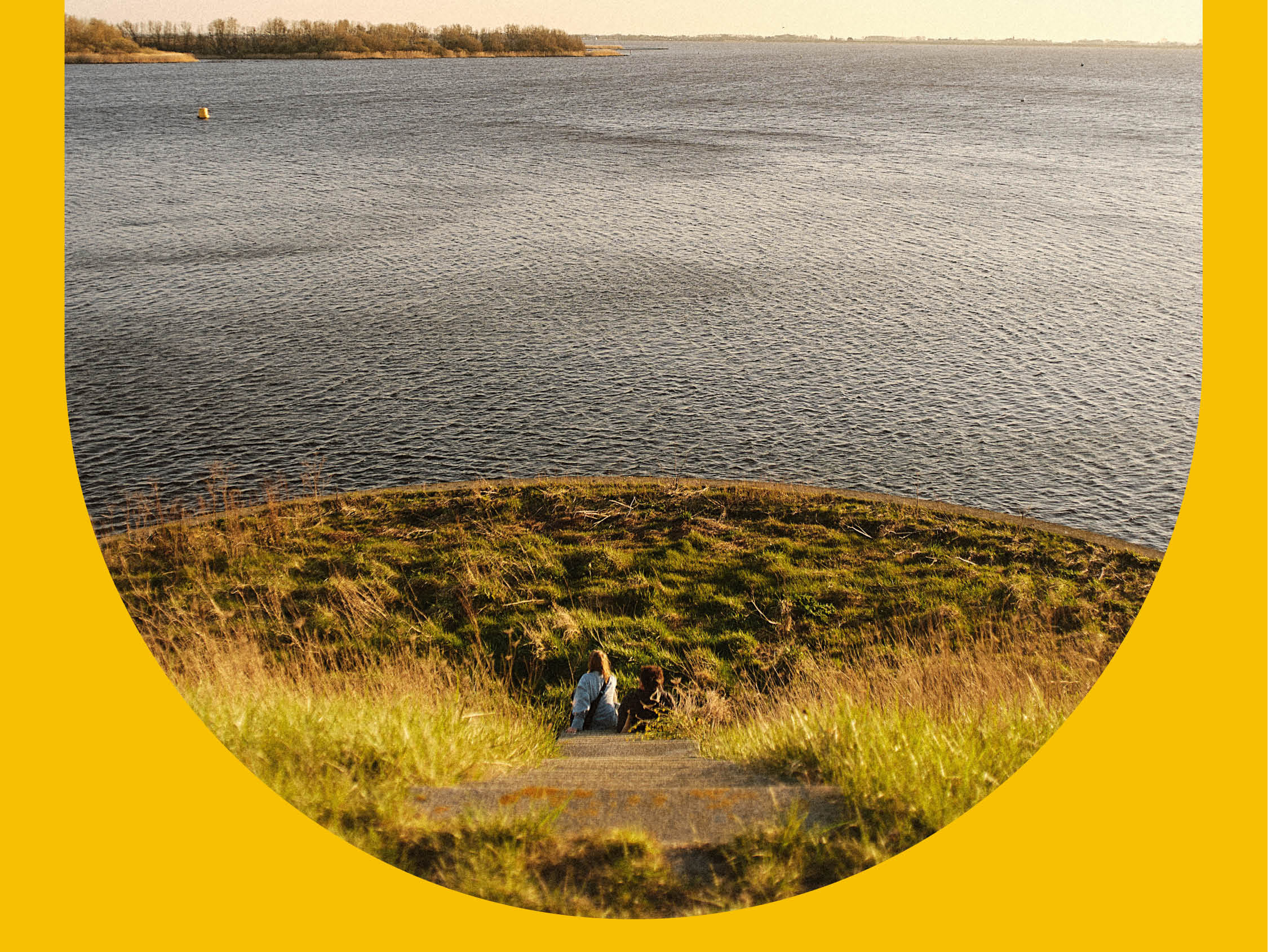 Generieke afbeelding voor image content